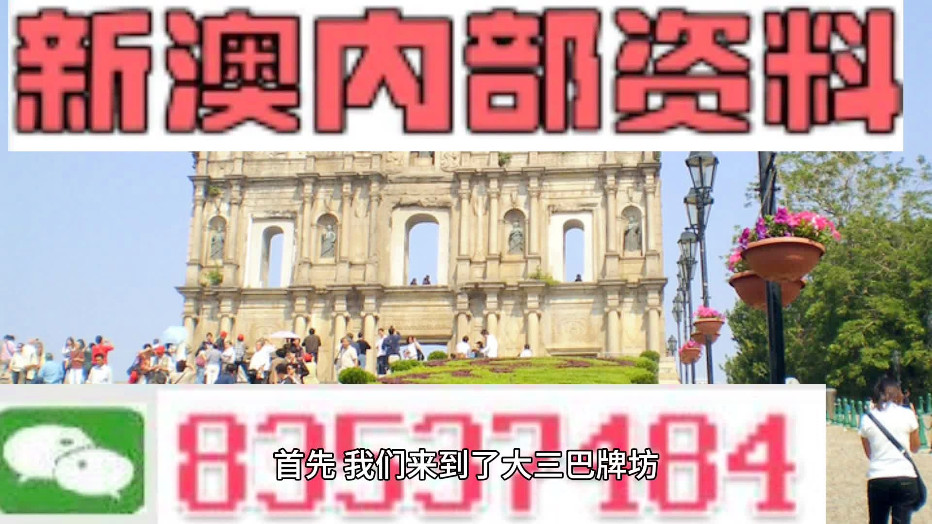 2024新澳今晚资料鸡号几号-词语释义解释落实