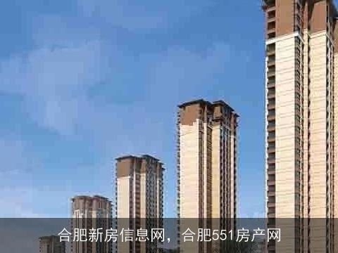 合肥二手房产网，探索与发现