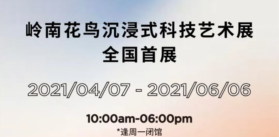 广东省白金规矩的独特魅力与文化内涵