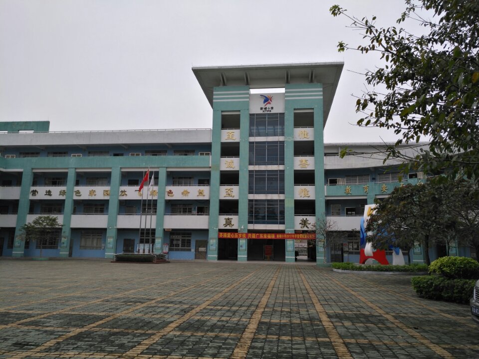 广东省广州市新塘小学，教育之光照亮未来