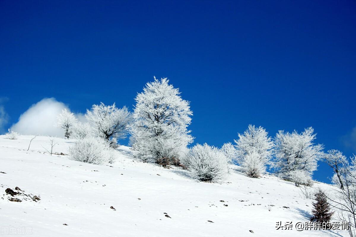 江苏肯立科技有限公司工资水平深度解析