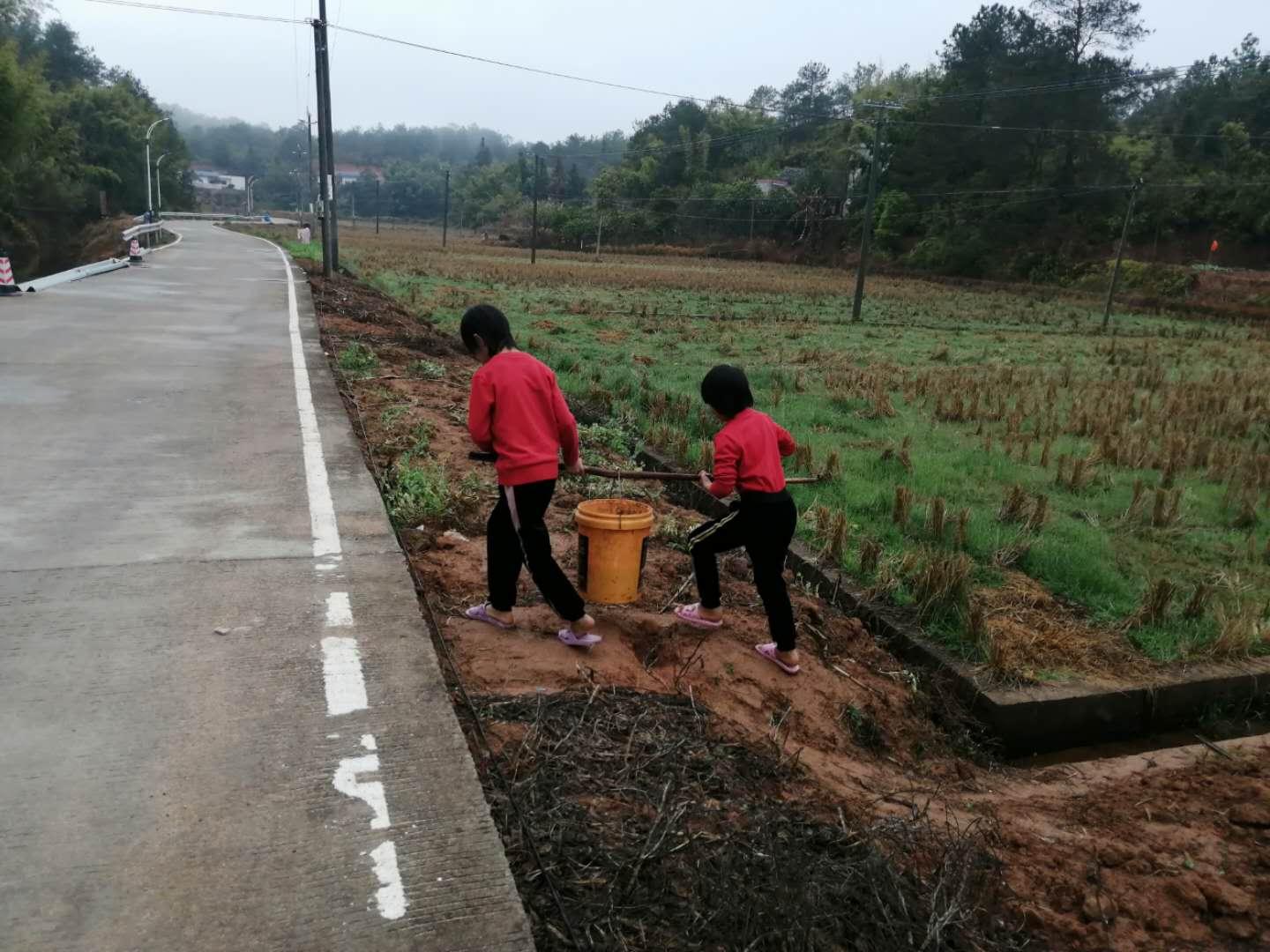 广东省兴宁市上大塘，自然美景与文化底蕴的交融之地