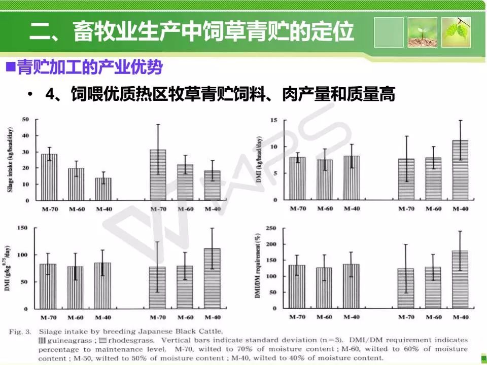 广东省的牧草收购点与市场需求分析