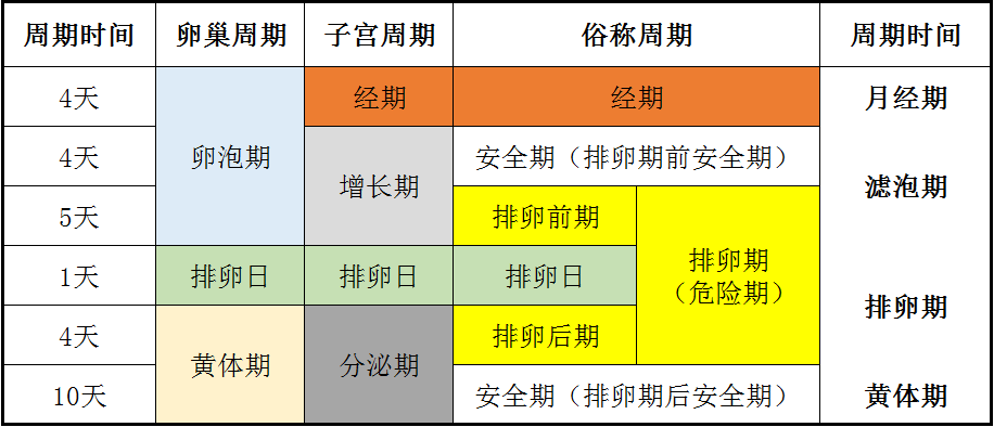 排卵一个月排几次，女性生理周期中的奥秘