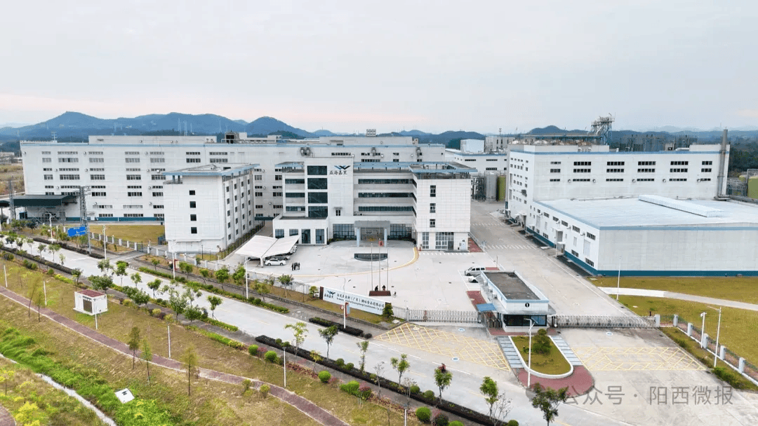 广东阳西食品有限公司，食品行业的璀璨明珠