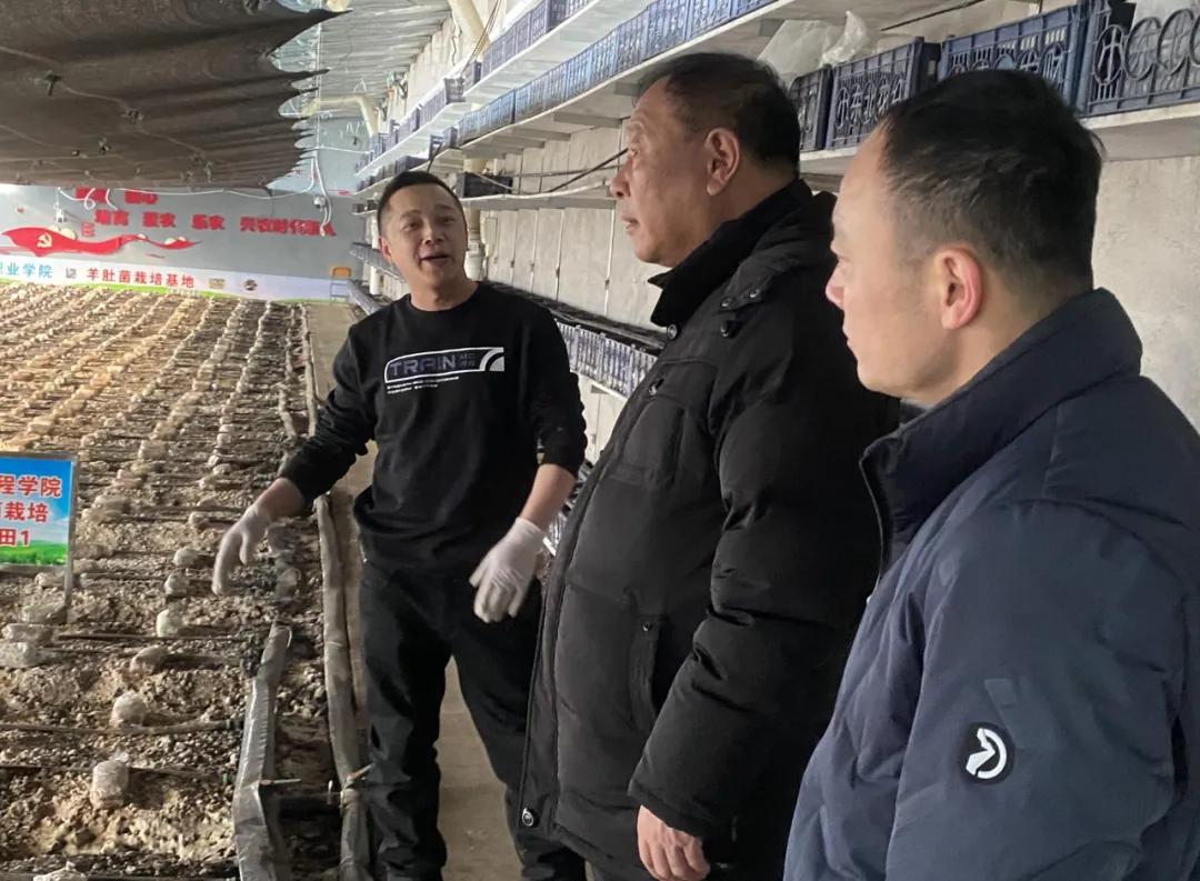 江苏华生物科技，引领科技前沿，铸就生物产业辉煌